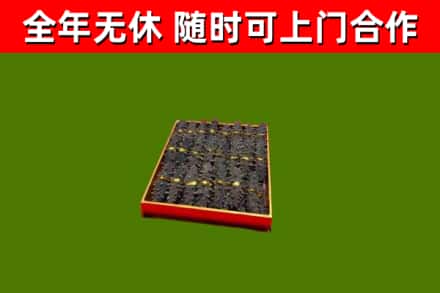 太湖回收海参